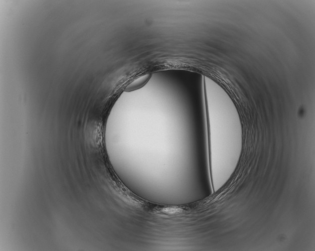 X0000091070478200708061027