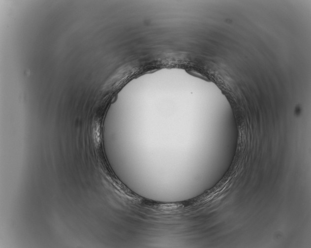 X0000091070479200708061027