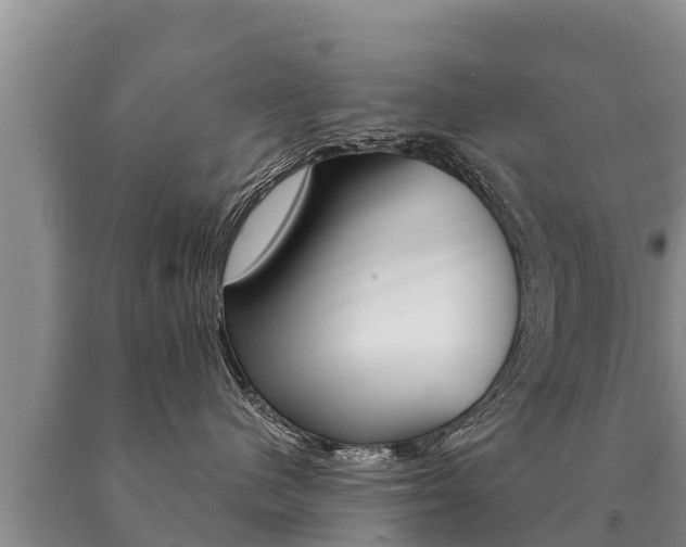 X0000091070480200708061027