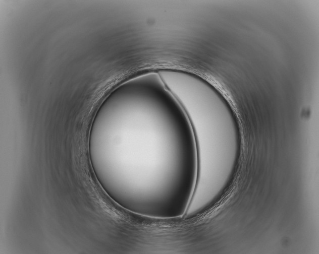 X0000091070481200708061026