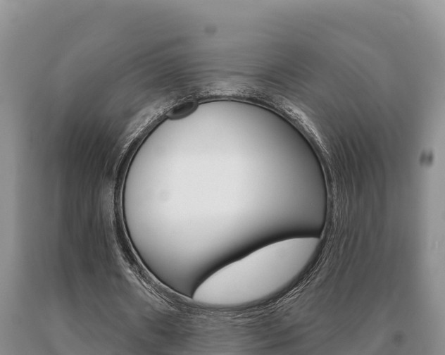 X0000091070482200708061026