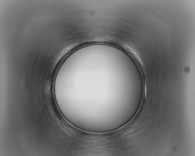 X0000091070483200708061026