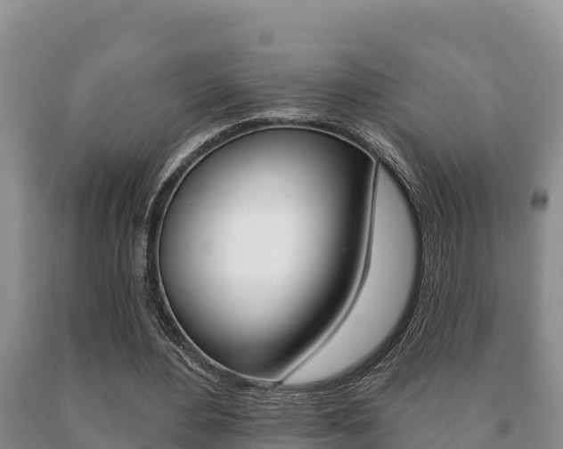 X0000091070484200708061026