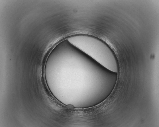 X0000091070486200708061026