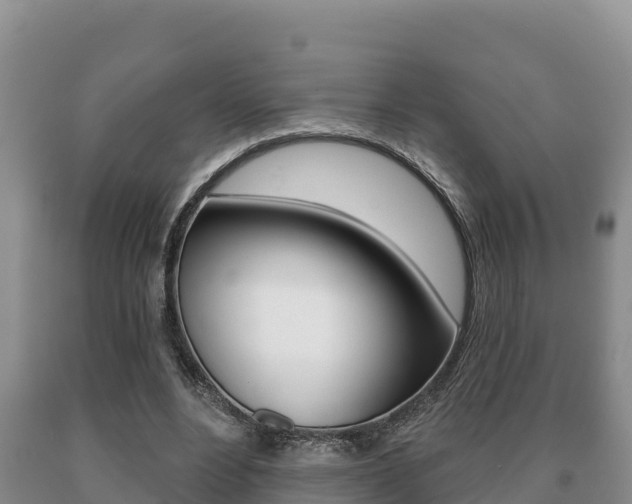 X0000091070488200708061026