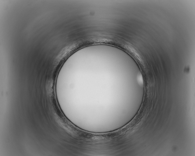 X0000091070490200708061026