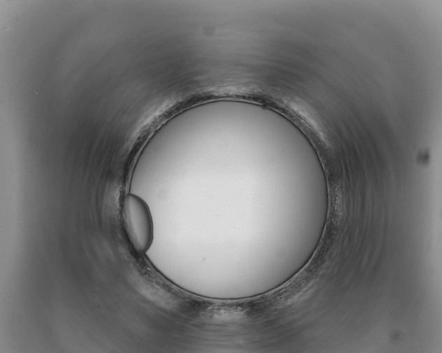 X0000091070491200708061026