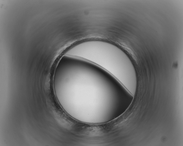 X0000091070492200708061026