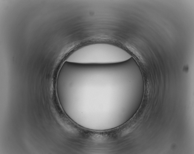 X0000091070494200708061026