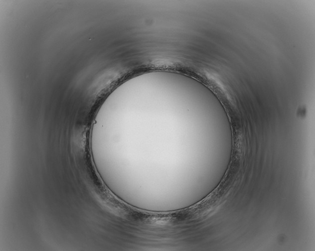X0000091070495200708061026