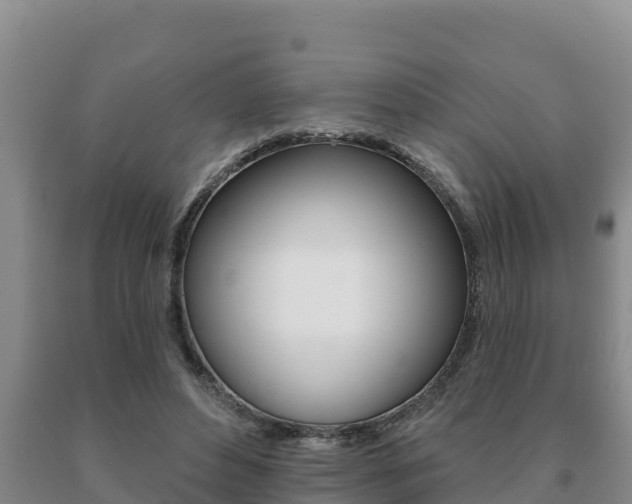 X0000091070496200708061026