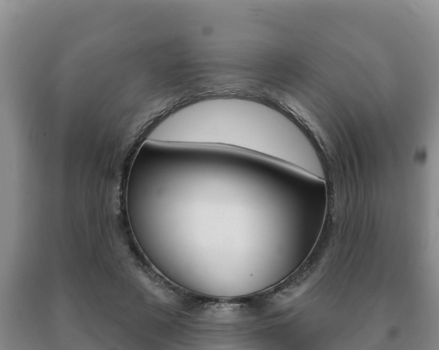 X0000091070497200708061026