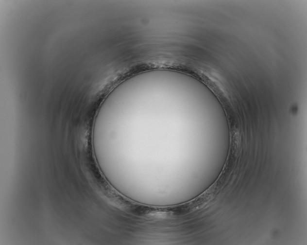 X0000091070499200708061026