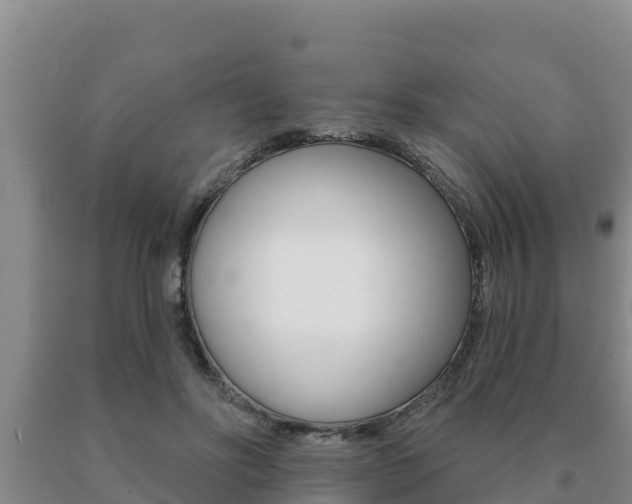X0000091070502200708061026