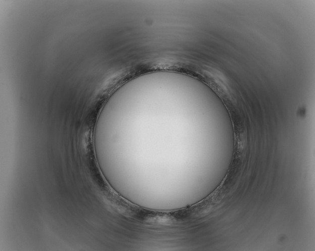 X0000091070503200708061026