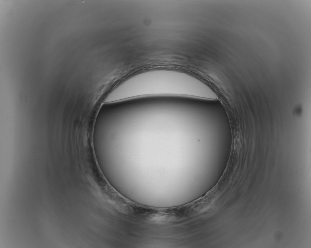X0000091070504200708061026
