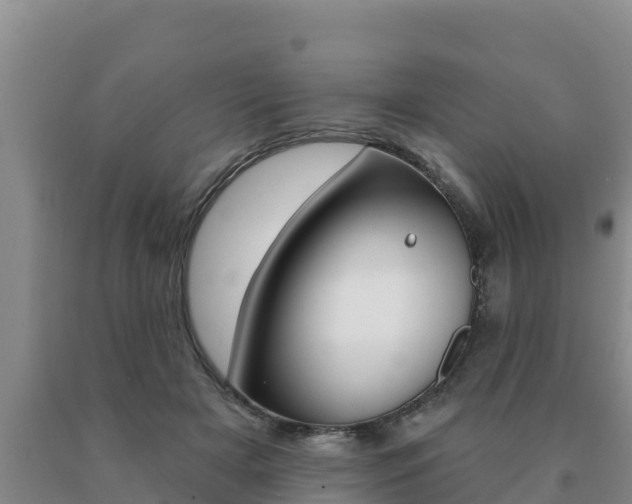 X0000091070505200708061026