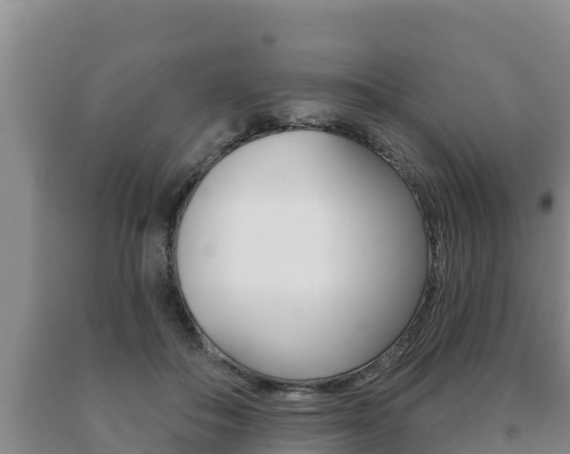 X0000091070506200708061026