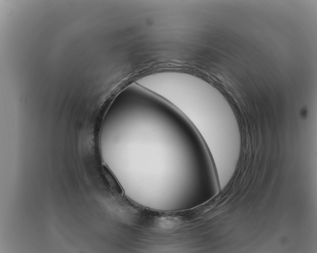 X0000091070508200708061026