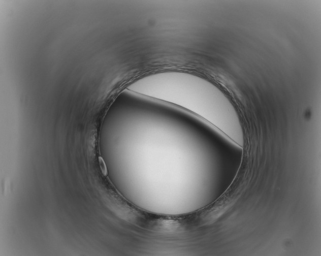 X0000091070509200708061026