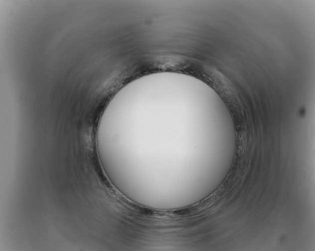 X0000091070510200708061026