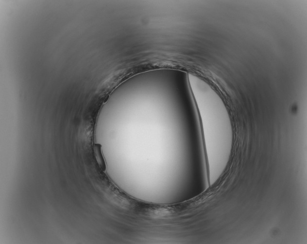 X0000091070513200708061026