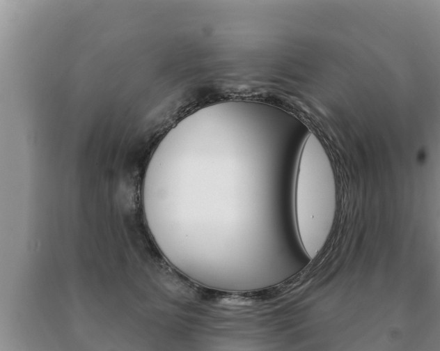 X0000091070515200708061026