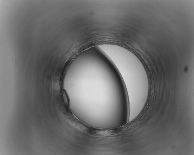X0000091070516200708061026