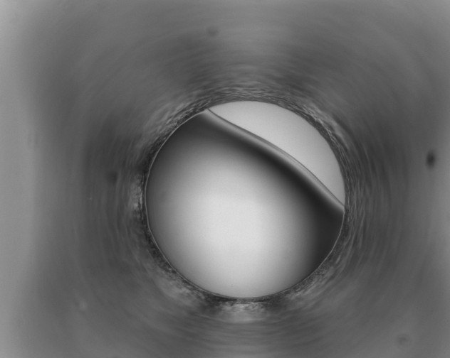 X0000091070517200708061026