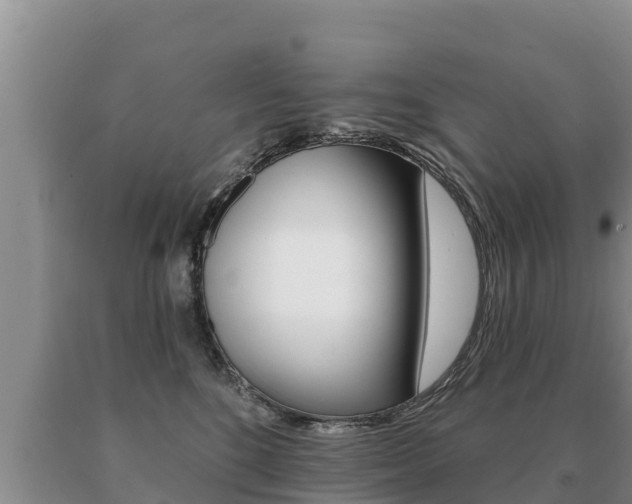 X0000091070520200708061026
