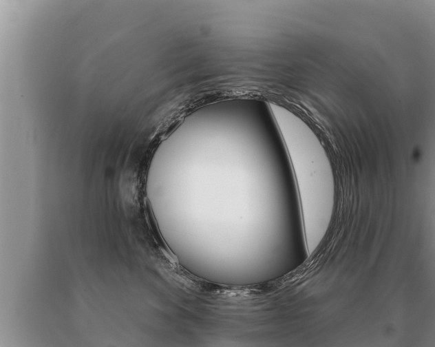 X0000091070524200708061026