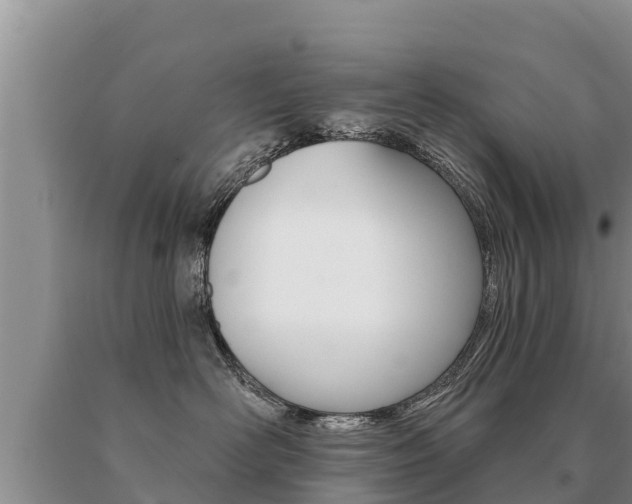 X0000091070526200708061026