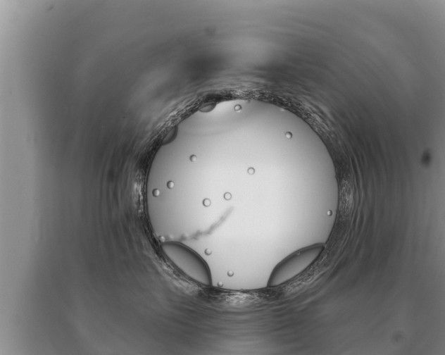 X0000091070527200708061025