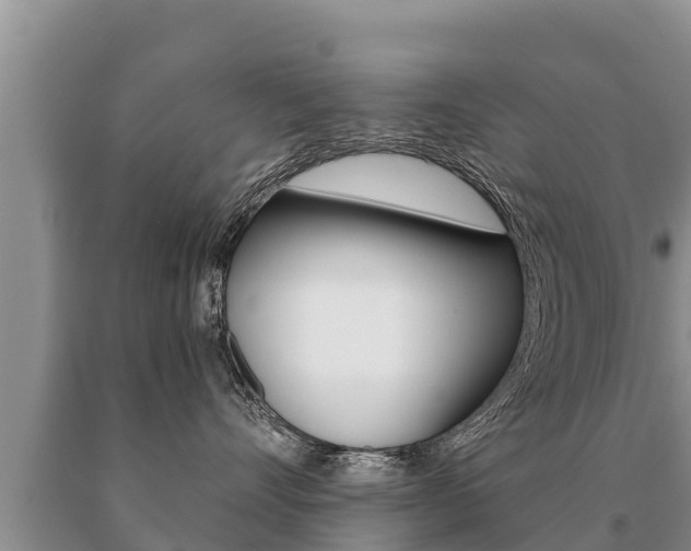 X0000091070528200708061025
