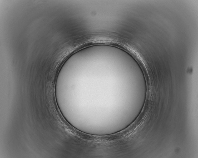 X0000091070529200708061025