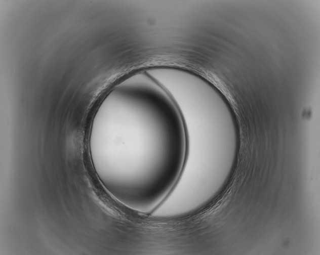 X0000091070530200708061025