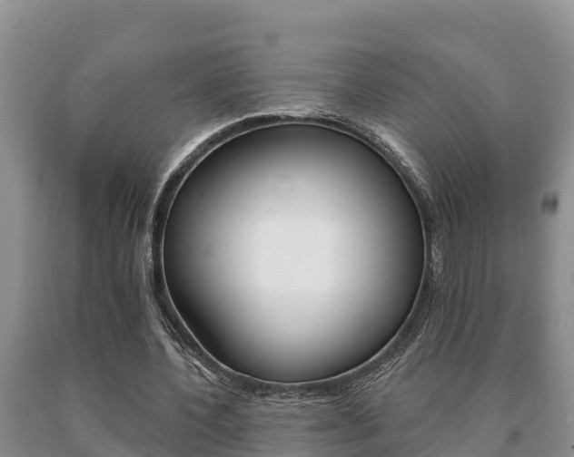 X0000091070532200708061025
