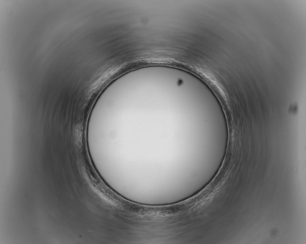 X0000091070533200708061025