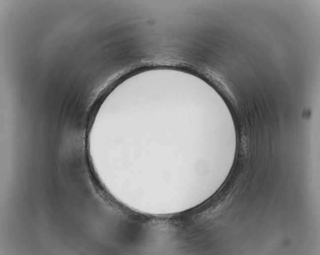 X0000091070534200708061025