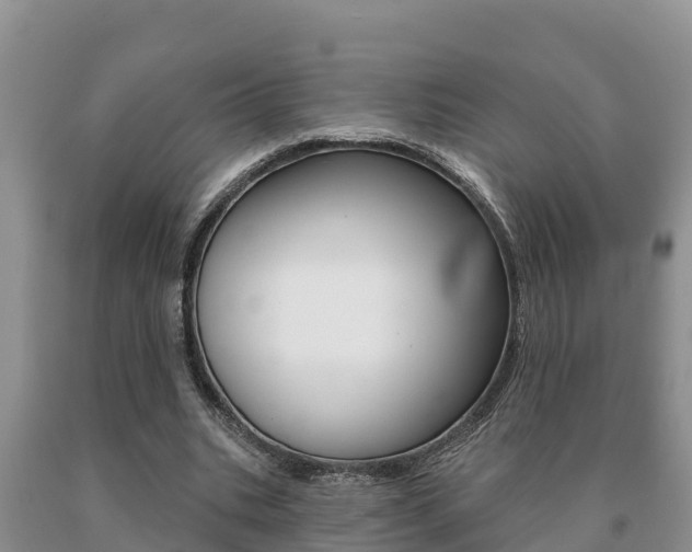 X0000091070535200708061025