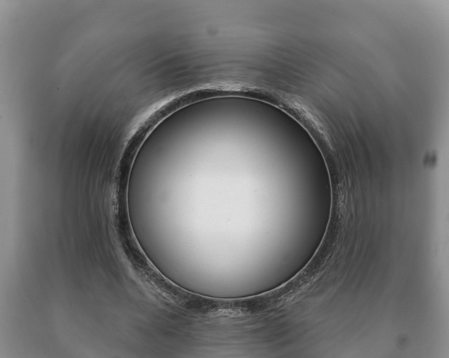 X0000091070536200708061025