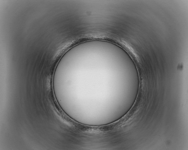 X0000091070537200708061025