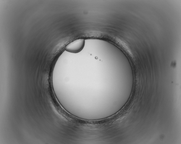 X0000091070538200708061025