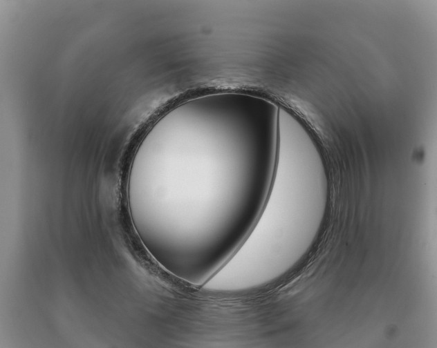 X0000091070540200708061025