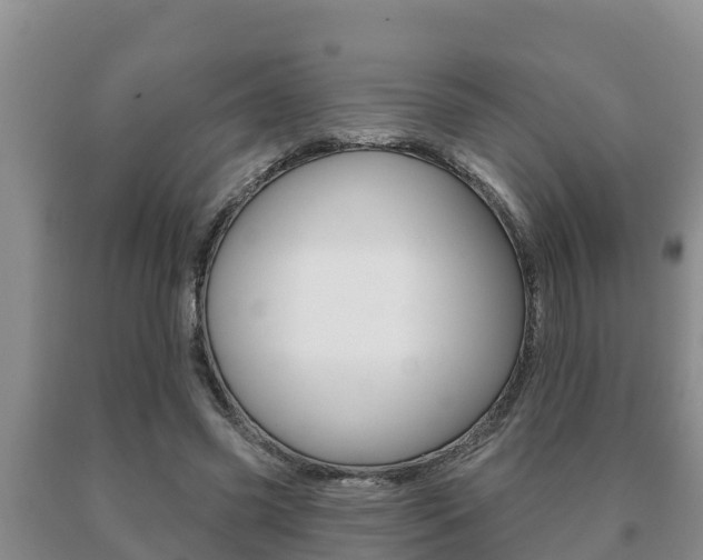 X0000091070541200708061025