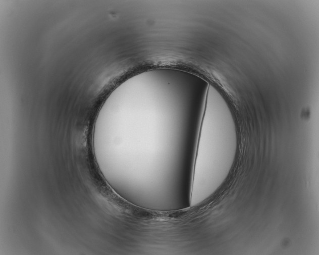 X0000091070543200708061025