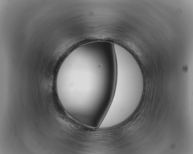 X0000091070544200708061025