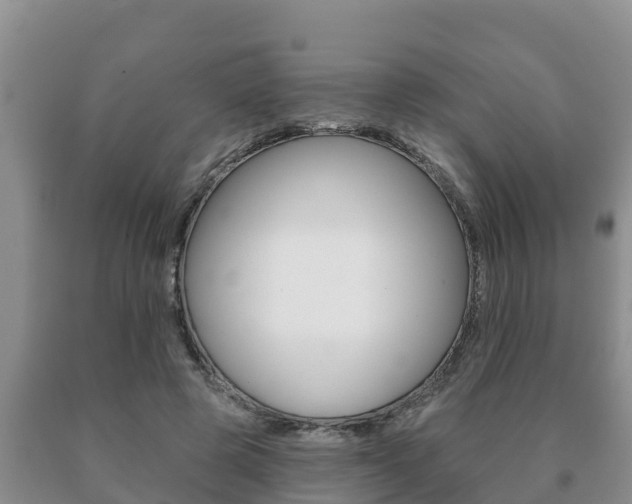 X0000091070545200708061025