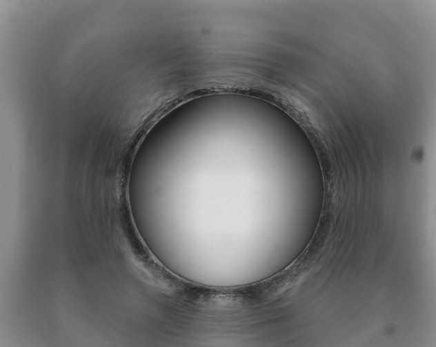 X0000091070546200708061025