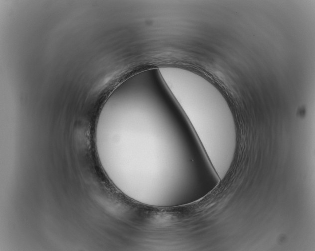 X0000091070547200708061025